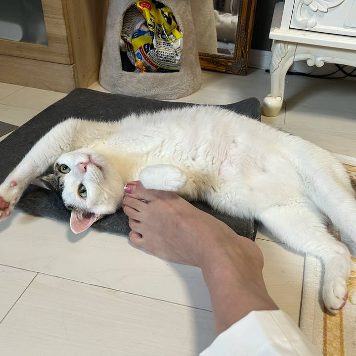 A33626cc 007b 44e7 8caf b389f9c5b42f 1656931860442