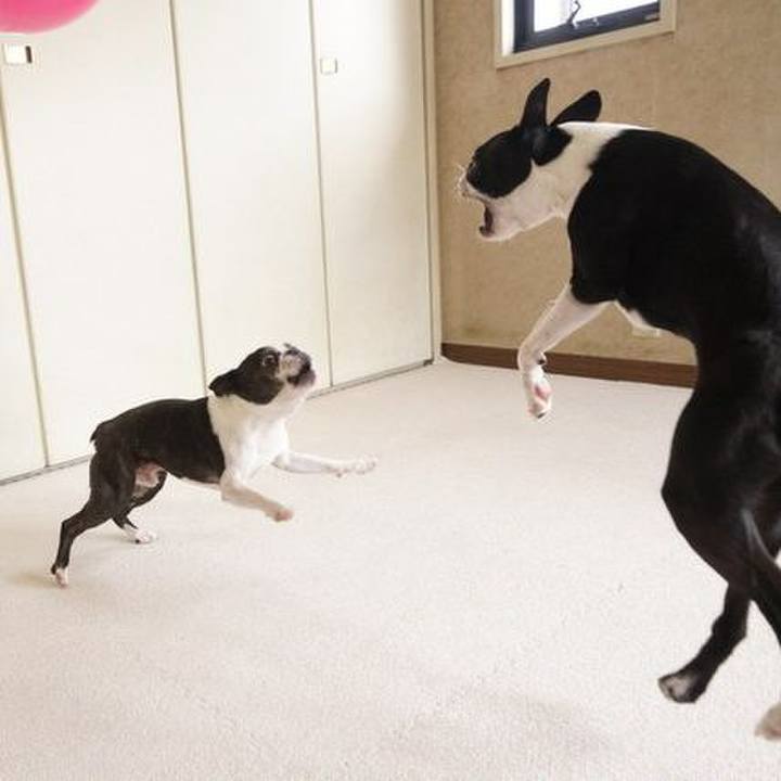 A33644fc e5dc 42ee 8c12 3e500dbd1d76 1530071160806