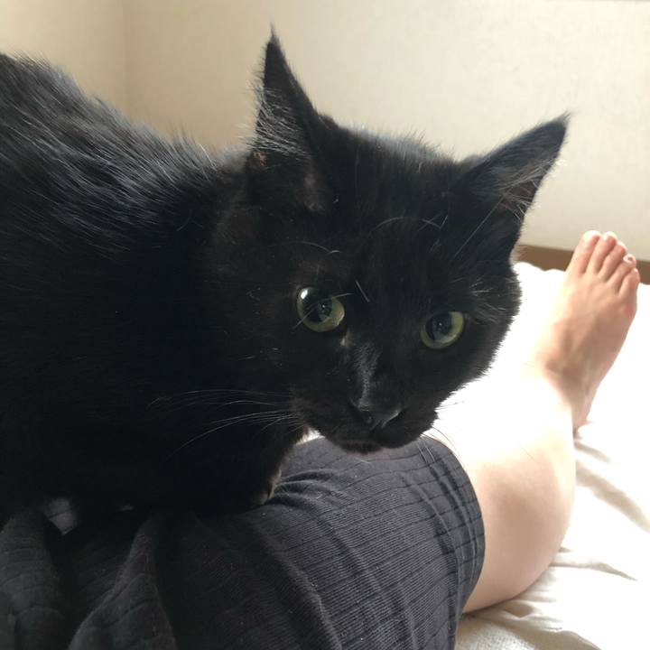 A3364dff 1345 4568 9221 759e2a36b2ea 1562145330588