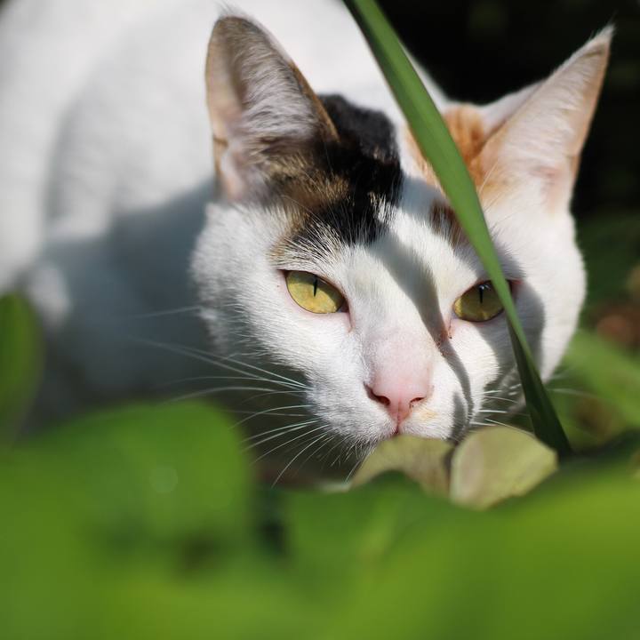 A3369d5b c268 4b8b aadd ee6fd4f920a8 1588218635174