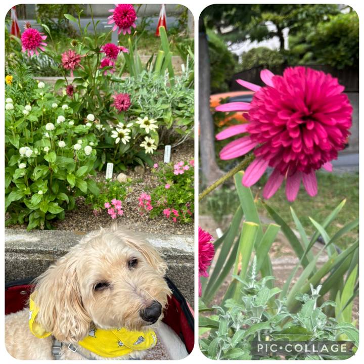 A336a426 2328 431d a89c 7fb32e217090 1758772234639