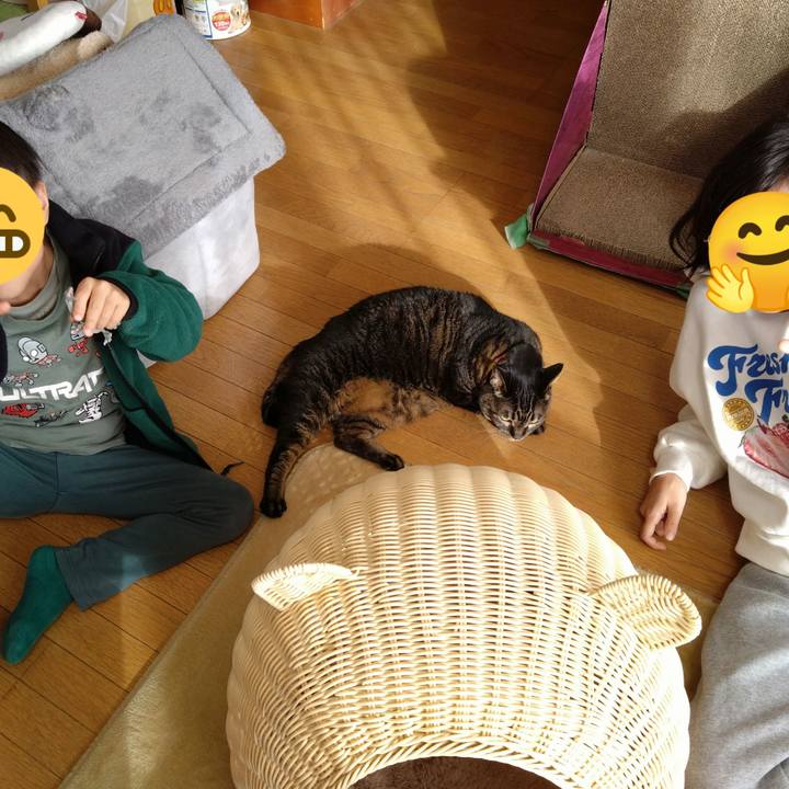 A336e453 df7a 4929 ace8 841fdeab31f3 1767511945816