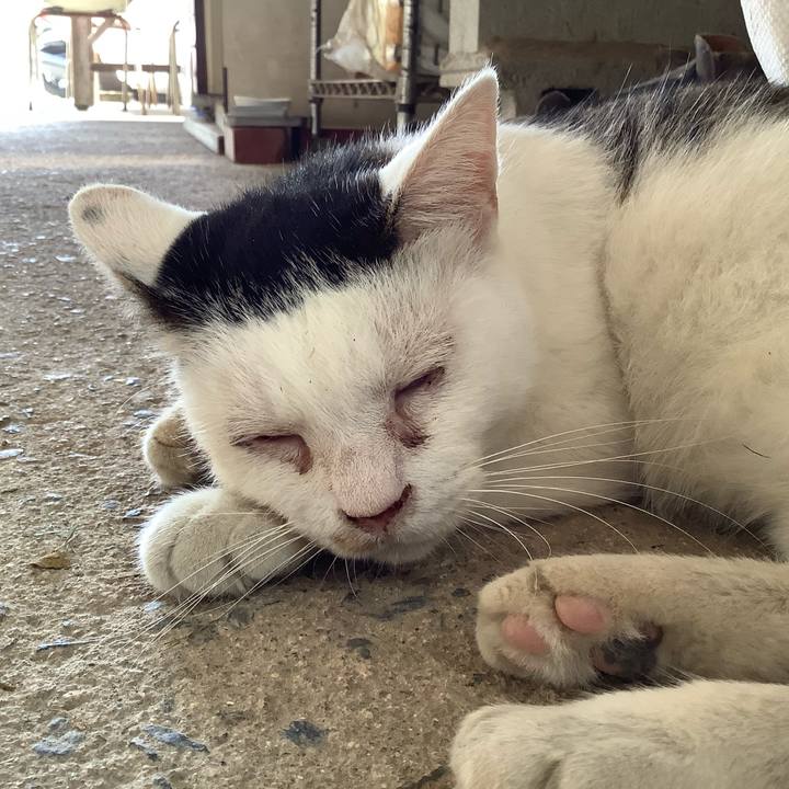 A3375e60 8a5b 45cc 8f1d 8256443c65a3 1598180937870