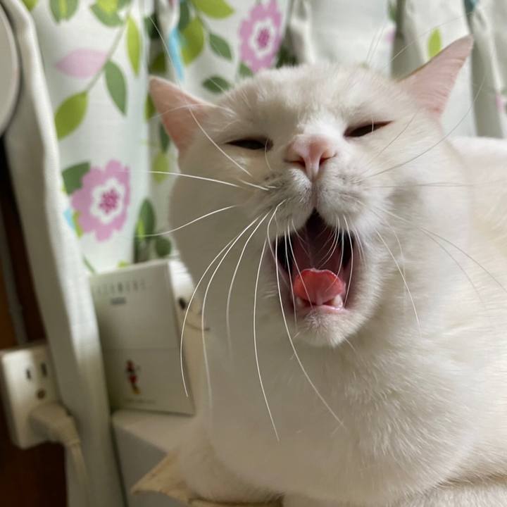 A337d4f1 79bf 4457 b8d2 51ee1b5fd0f2 1613514367814