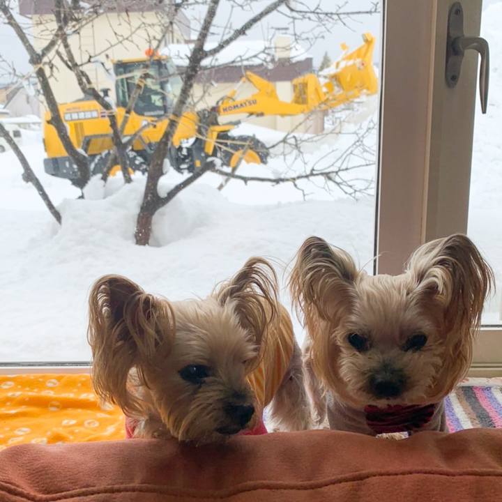 A337e33d c359 4250 9864 24f62471c1f6 1645438193552