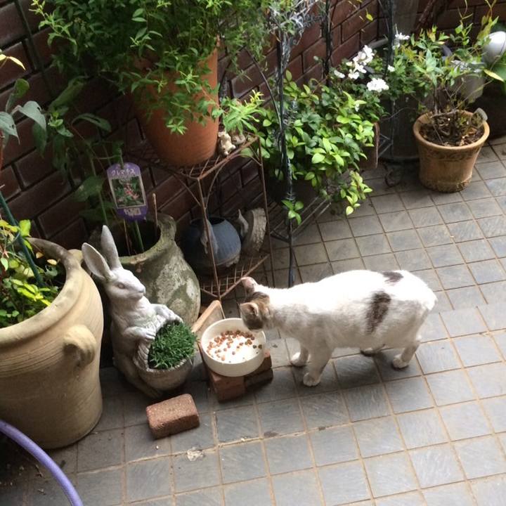 A337e977 3773 4ad1 a848 2f93be1a2c21 1559345753543