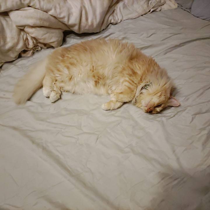 A3380b46 6f26 4f62 bb74 688419153f68 1654090983523