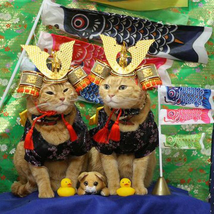 A33819e4 b909 4820 8efd 59ae4cfb23dd 1525508089920