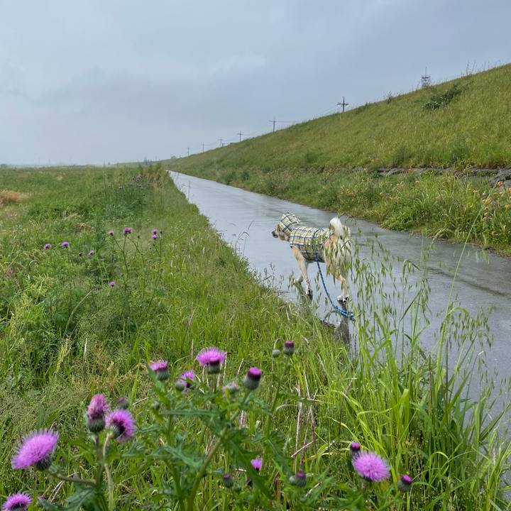 A3382df0 b0d6 4021 b30f 1afea7cd72d0 1683369978815