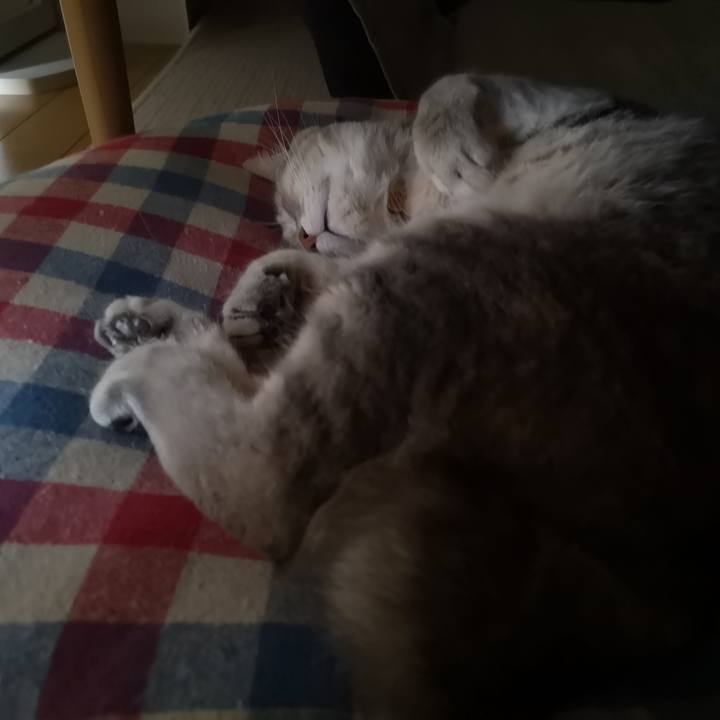 A33832df 9ca0 4e93 86cc d2d66c7fe5d6 1558048813747