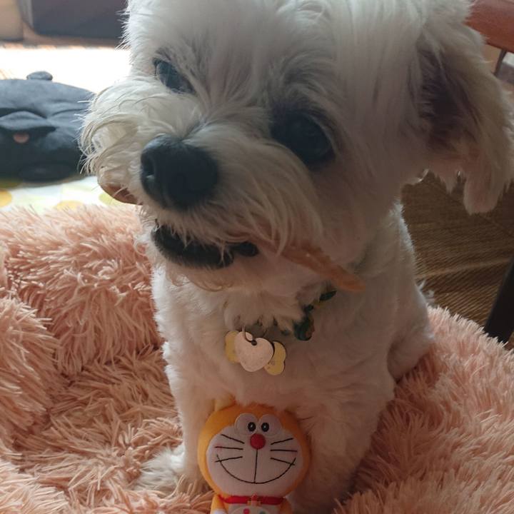 A3387be2 5326 4da3 9b5d 66fac042c378 1598420021988