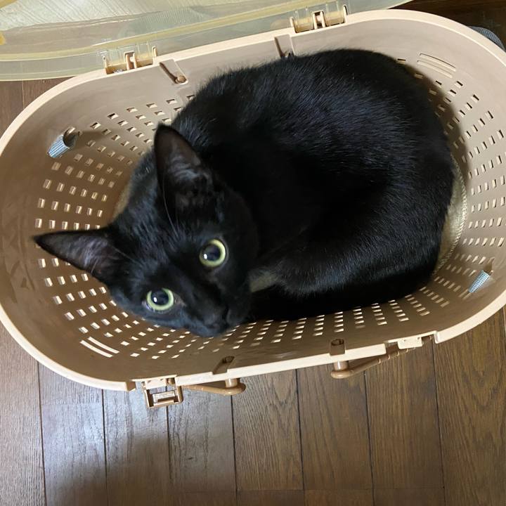 A3387d79 88d0 40bc ac32 7556aeb880f8 1647084160770