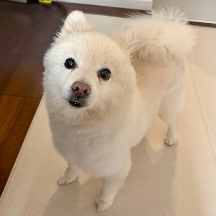 A338acf5 217a 448c a1d9 9e2ef6881141 1771157879047