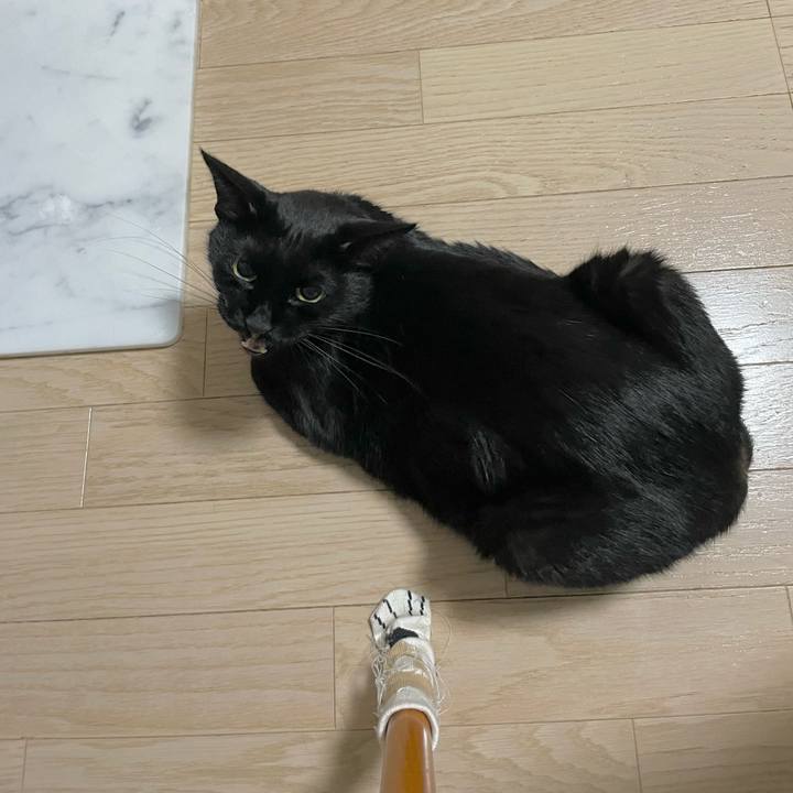 A338df1f 9ade 4edb bb3e 39c1ef71e95e 1665065185212