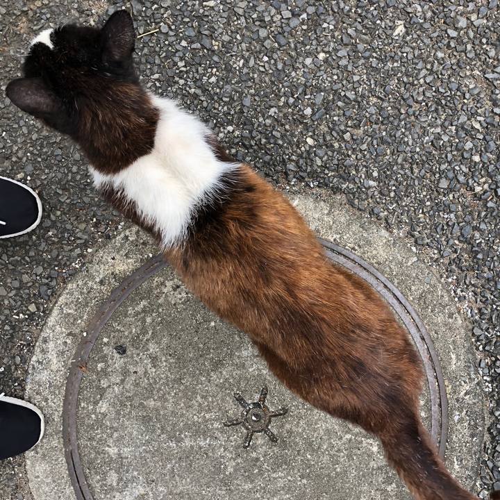 A338e961 ecf8 49c4 abde 3b4459b6b8a5 1563108549829