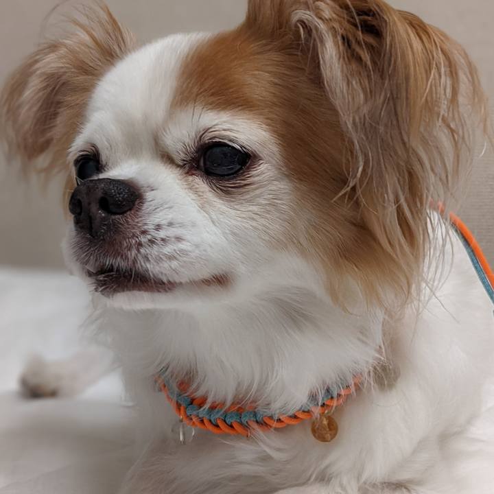 A338fb25 ca79 4e80 b07d 0b102867de29 1660894517151