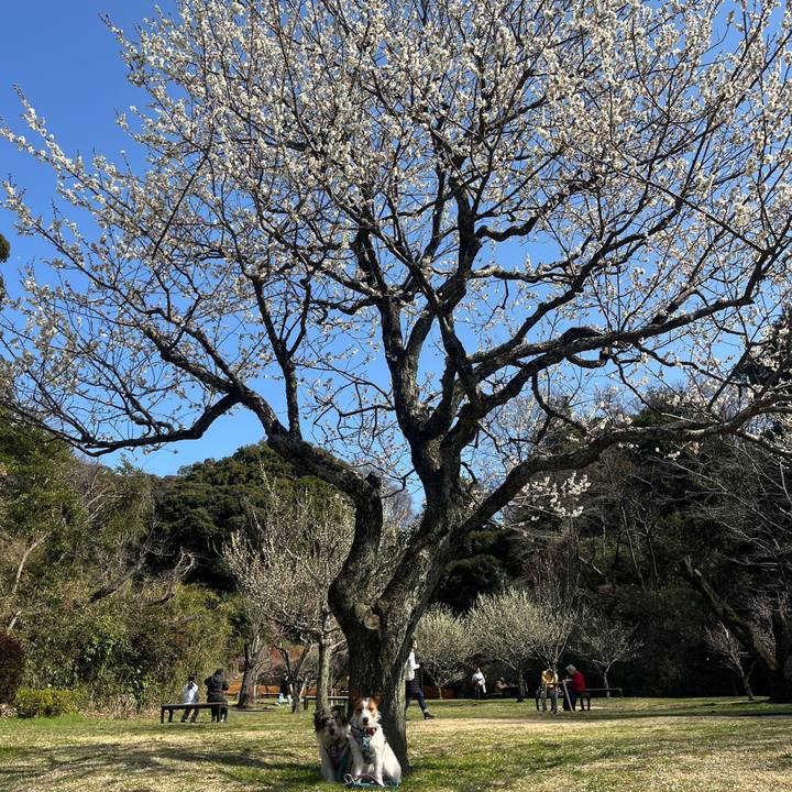 A33936b0 104e 4cc2 adc4 9a68aa8a201f 1772363569974