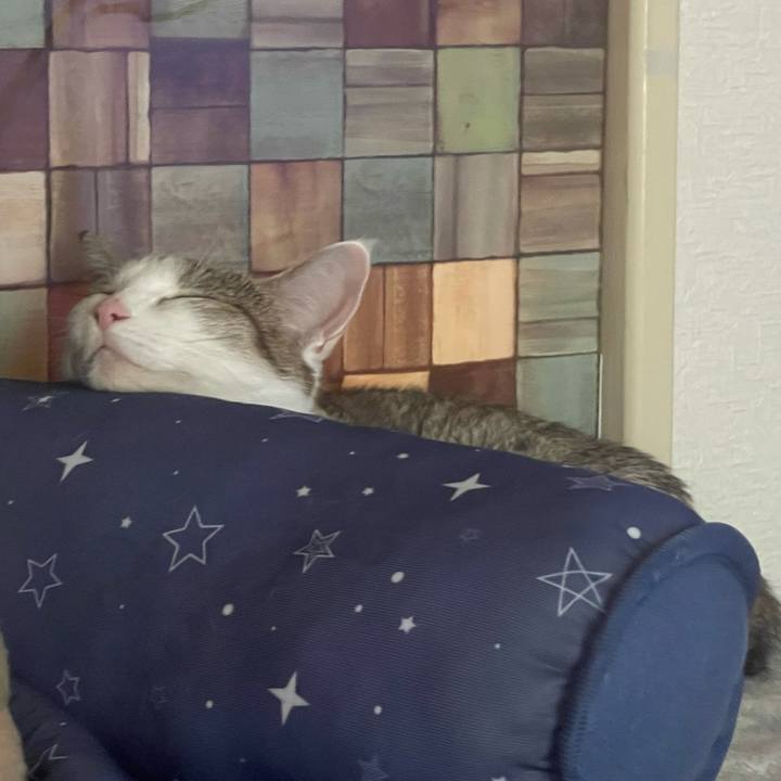 A33939c5 2e23 40cd 9e28 7315f7163a72 1628755601282