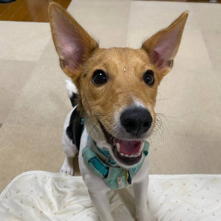 A3396fd5 7c95 4a23 9c37 17d840c01064 1755177443811