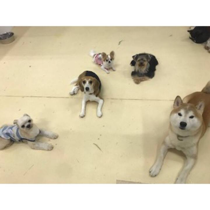 A3397244 fb03 4ee2 8113 87d5166b91cd 1563447322618