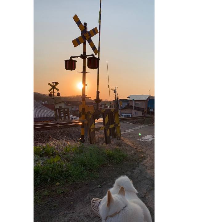 A339be6d bd0f 4314 bab0 1d92cdd83f19 1556491345404