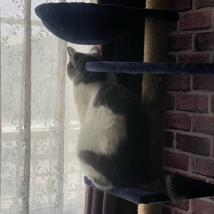 A339c6cb cd64 45e4 b3c4 992c04051388 1748997436131