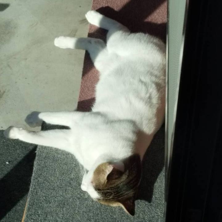 A339f683 df4f 4b23 93bb a9018433c6ed 1663896958969