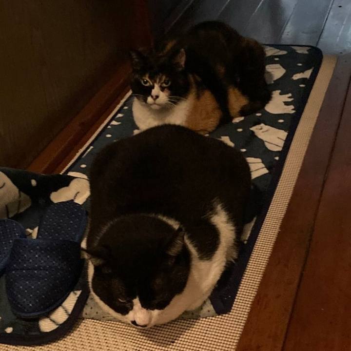 A33a12d0 09e1 492f adf9 e46655e0ed8d 1631145377040