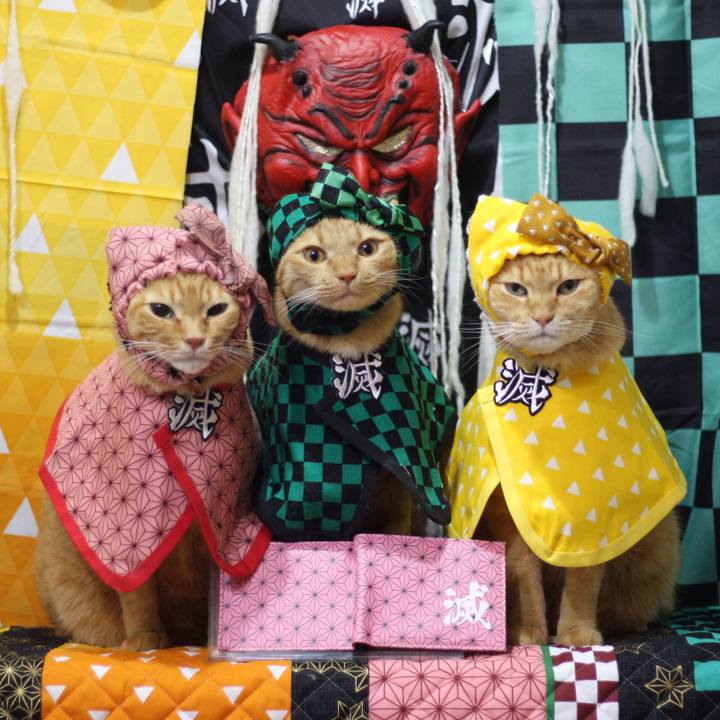 A33a25e1 3273 4606 a779 7b344fd623ee 1612265946697