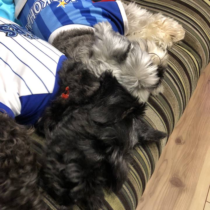 A33a47f4 53a7 49ef 82de 4e95f335b767 1534334285292