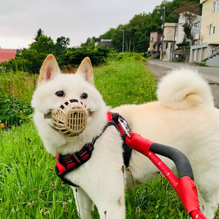 A33a6b5f 8b33 4d34 a919 524c7335f8c9 1658866019446