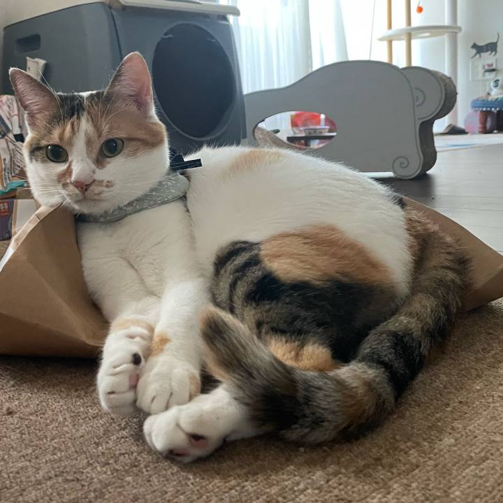 A33a6ba4 ee5a 4b4b 8e8b 546f99a37d50 1663298653292