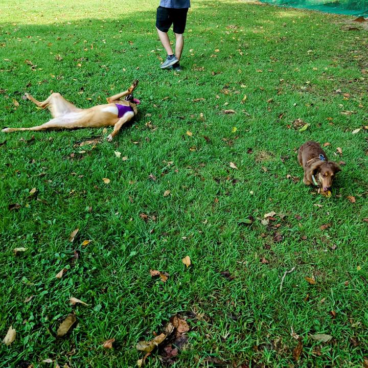 A33ad2d2 2384 433f b096 486c05e78e62 1725693896854