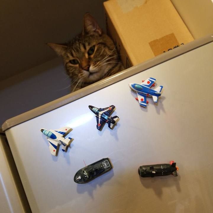 A33ae3be d0f2 4617 b301 0c98c12732f5 1591011947271