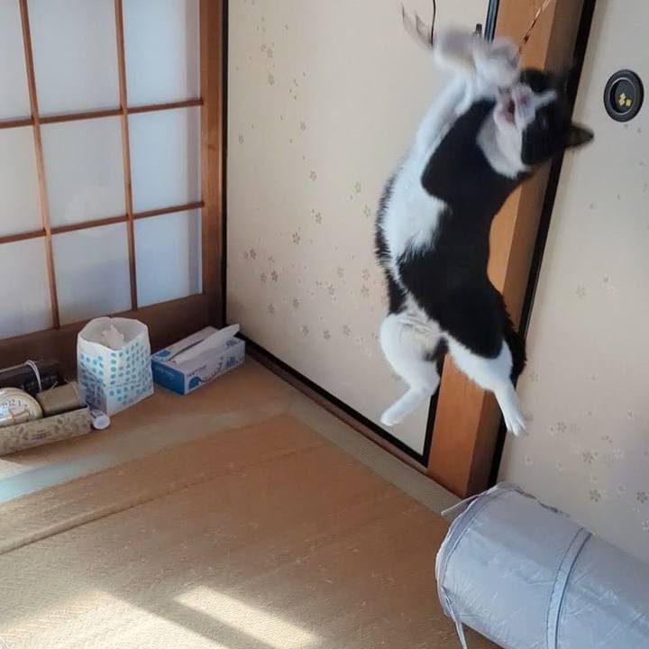 A33af19f c223 43d2 b912 3b929992fd12 1762043581948