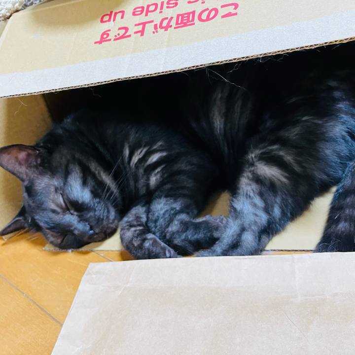 A33b1e87 c42e 4cf9 9f06 8a05ec9096be 1746229929520