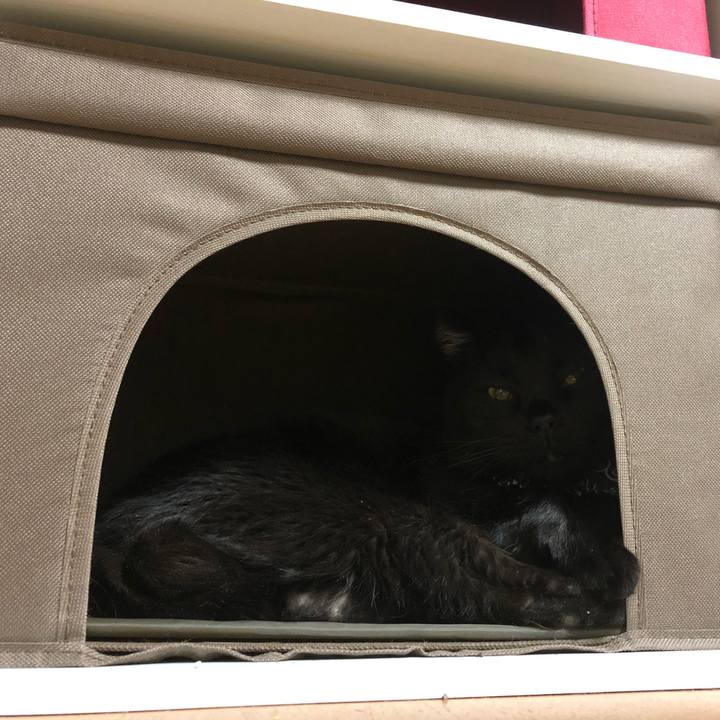 A33b3e8a bb3b 4ea7 9fbb 86264bbb7d59 1581592847569