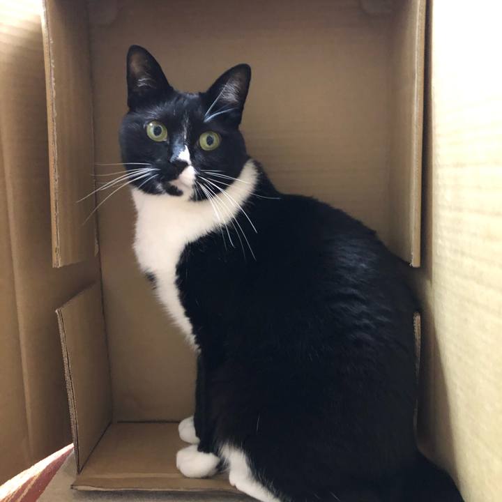 A33b421d 6977 45bf 9753 03e129f272c3 1557355659284