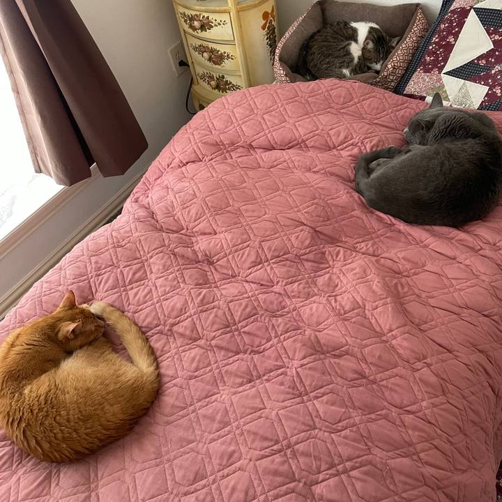 A33b4809 b0c9 442e 9f8b 1a0f64466118 1695090833282