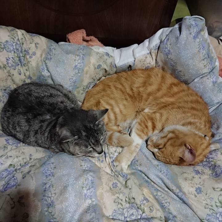 A33b741a 8078 4d9f ac28 2e5032f79e26 1590668211443