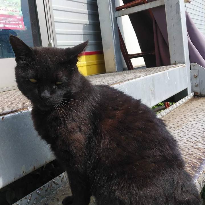 A33b7a3f 5102 40b8 b959 0ae51bbb6bec 1652178965868