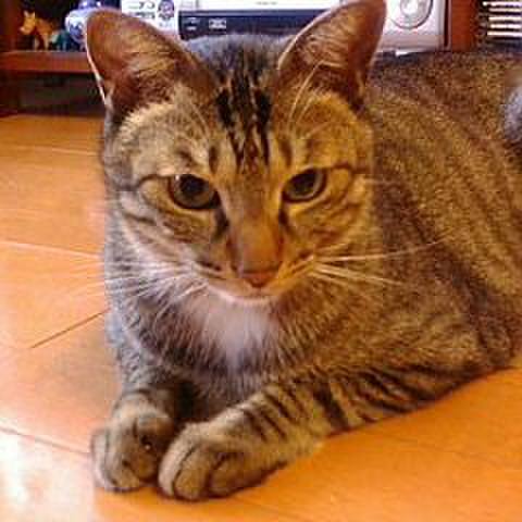 A33b87b3 5929 4ef8 83d3 bcc50693bc1b 1581242516366