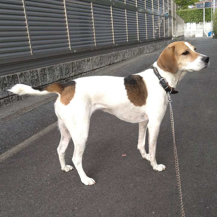 A33b9555 570a 42f7 abf9 870286a0ae2c 1664353941224