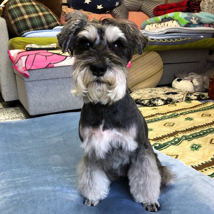 A33ba035 bdaf 406b b68e 84f878f58909 1679273852330