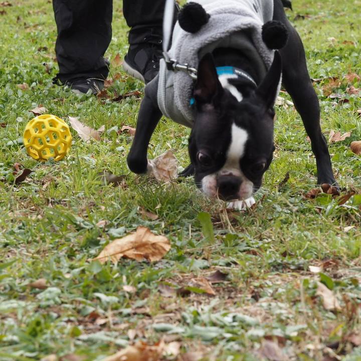 A33bb133 9064 4ad4 b70b 80f1b0404298 1545042822271