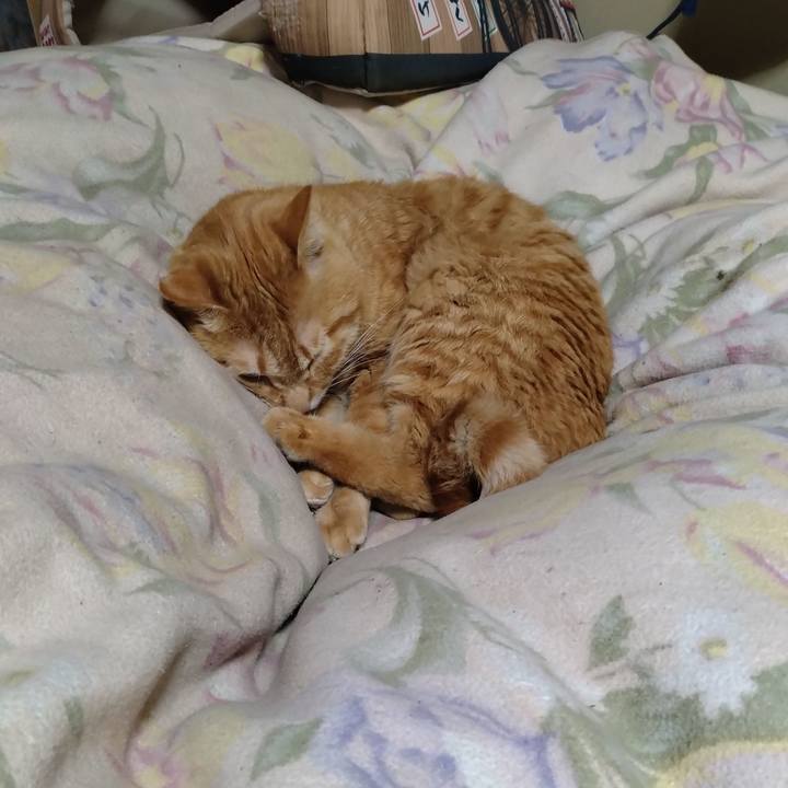 A33bba6f 5b18 4d74 b867 7489f8c2f442 1678711108385