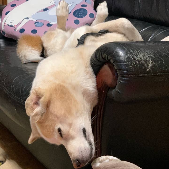 A33c070a 6e73 4526 8872 5cc8f506ac18 1672490540020