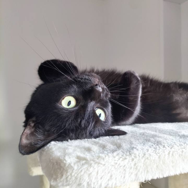 A33c1798 35f5 481a a962 962b515bb356 1695853251591