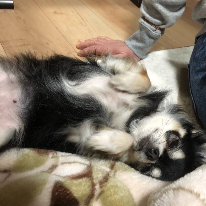 A33c219d 89cc 460a a07f 29bf435e9085 1521093845642