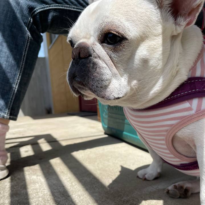 A33c267a e897 466e b482 908d8cdb54d5 1746657614024